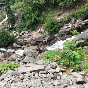 Meet your Posher, Brisa